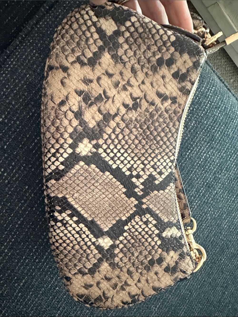 Coach Snake-Print Brown Mini Shoulder Bag with Gold Hardware - Picture 5 of 6